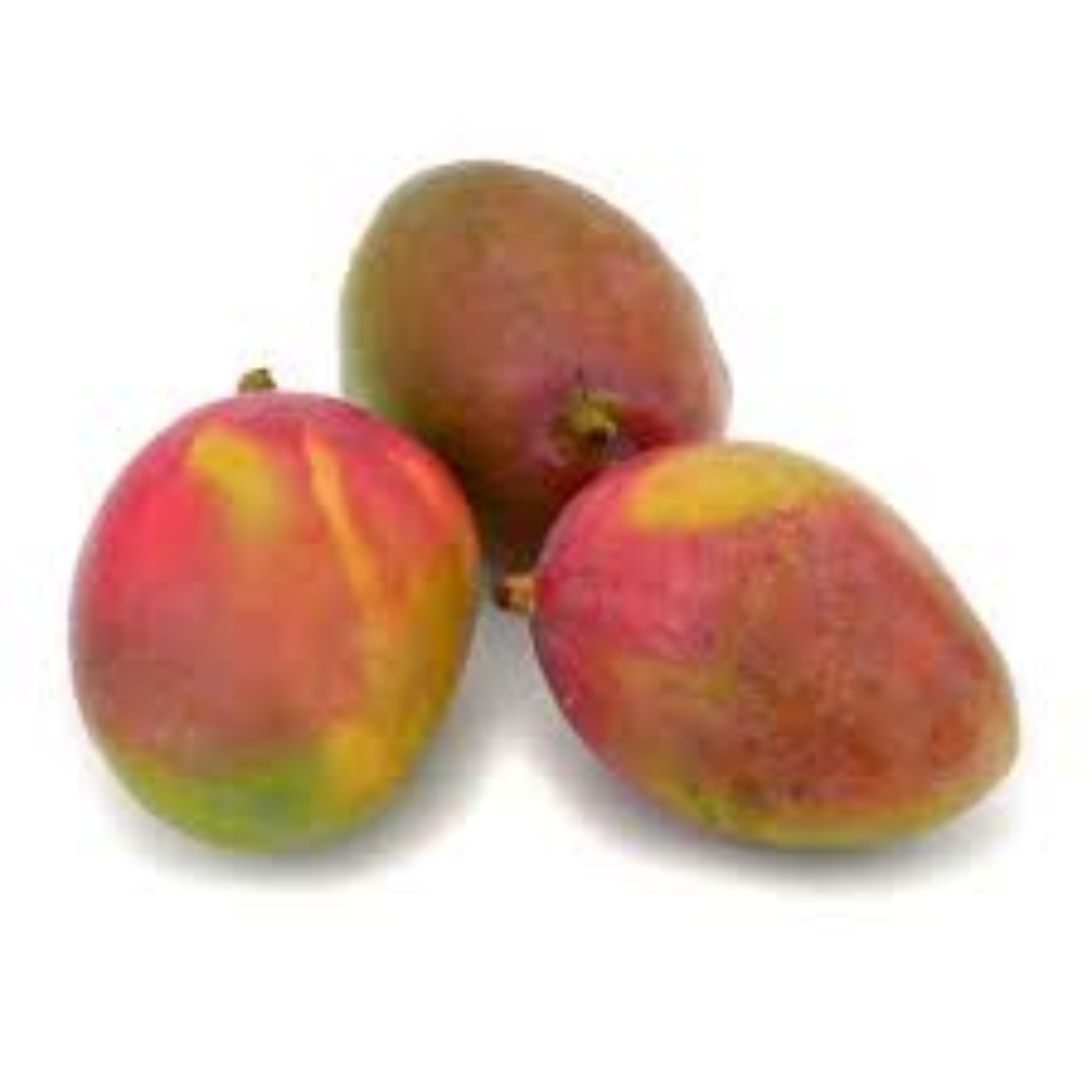 Tommy Atkins Mangoes for Long Shelf Life and Shipping